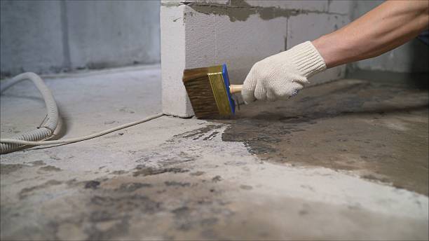 Top rated local Crawl Space Encapsulation specialists in New Market, TN